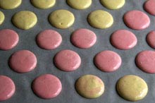 coloured macarons raw